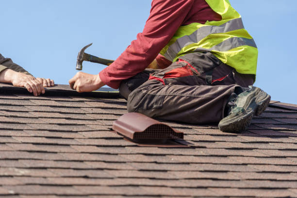 Best Roof Gutter Cleaning  in Eustis, FL