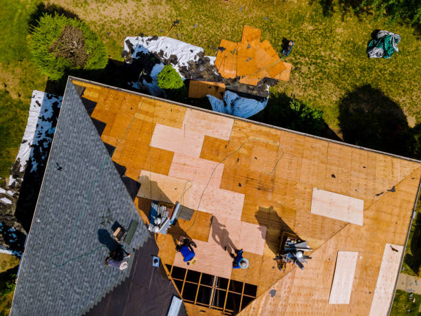 Best Storm Damage Roof Repair  in Eustis, FL