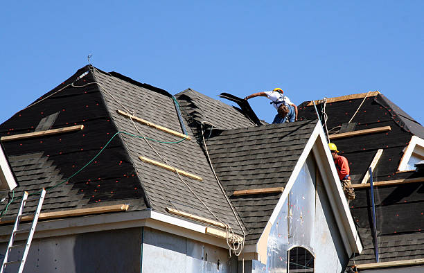 Best Roof Gutter Cleaning  in Eustis, FL