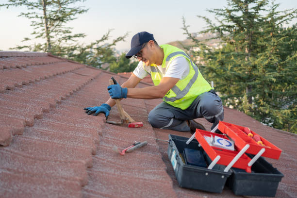 Quick and Trustworthy Emergency Roof Repair Services in Eustis, FL