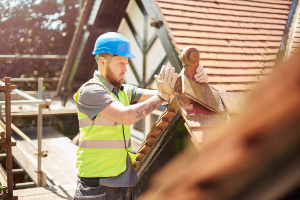 Best Commercial Roofing Services  in Eustis, FL