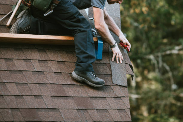 Best Gutter Installation and Roofing  in Eustis, FL