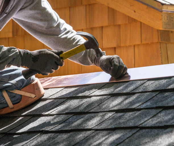 Best Commercial Roofing Services  in Eustis, FL